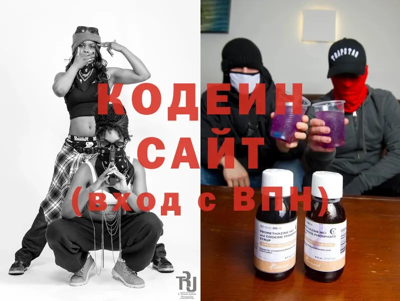 купить   Саранск  Кодеиновый сироп Lean Purple Drank 