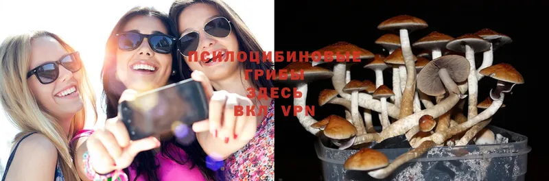 Галлюциногенные грибы Magic Shrooms  магазин продажи наркотиков  Саранск 